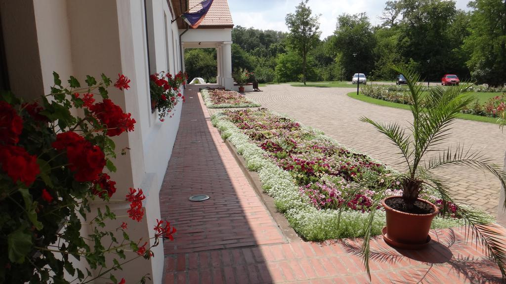 Sarlospuszta Club Hotel Tatárszentgyörgy Buitenkant foto